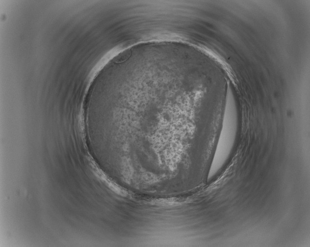 X0000079280990200612081749