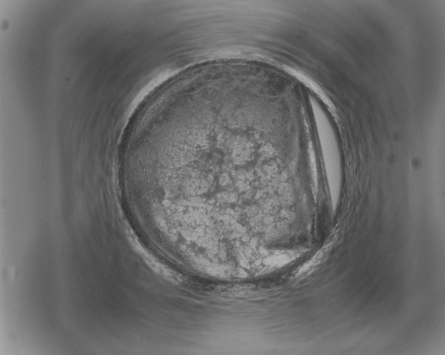 X0000079280991200612081749