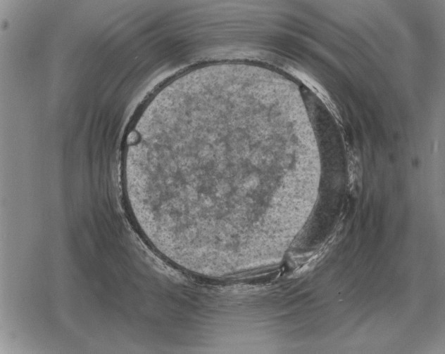 X0000079280992200612081749