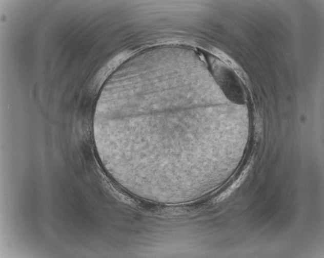 X0000079280993200612081748