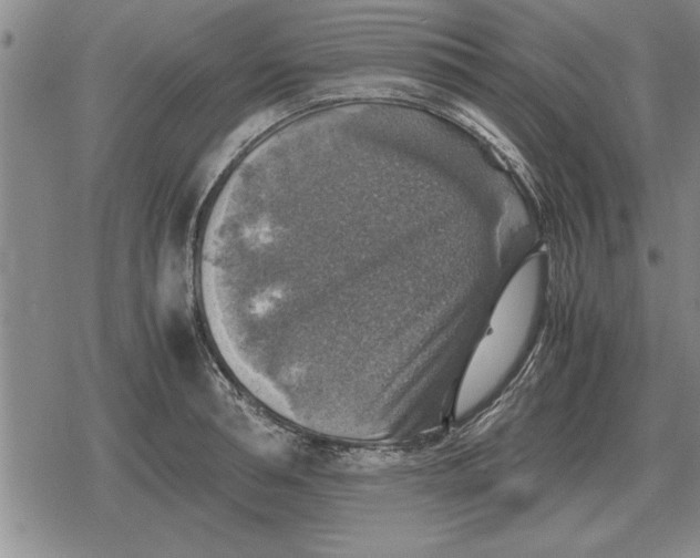 X0000079280994200612081748