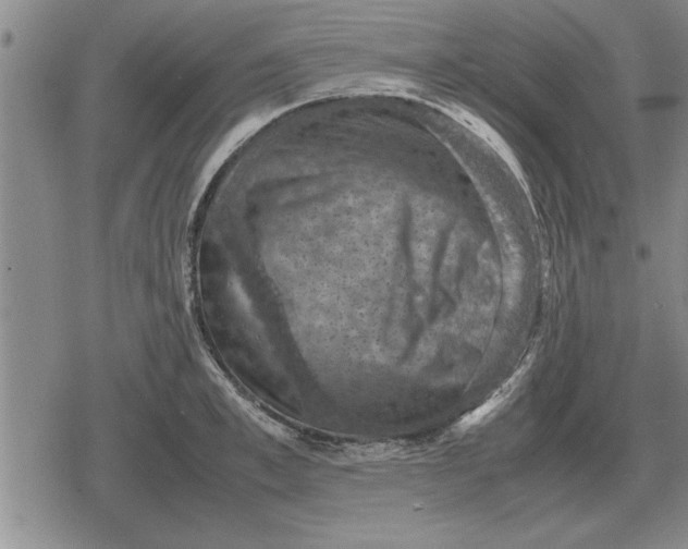 X0000079280997200612081748