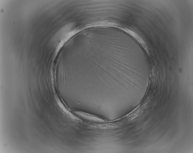 X0000079280998200612081748