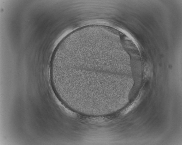 X0000079280999200612081748