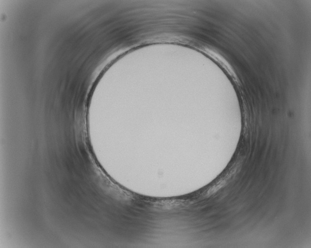 X0000079281000200612081748