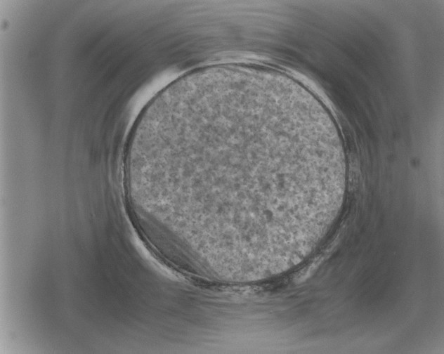 X0000079281003200612081748