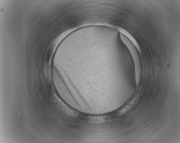 X0000079281004200612081748