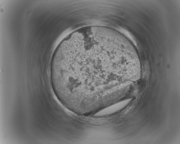 X0000079281007200612081748