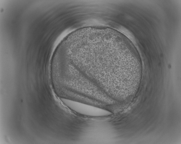 X0000079281008200612081748