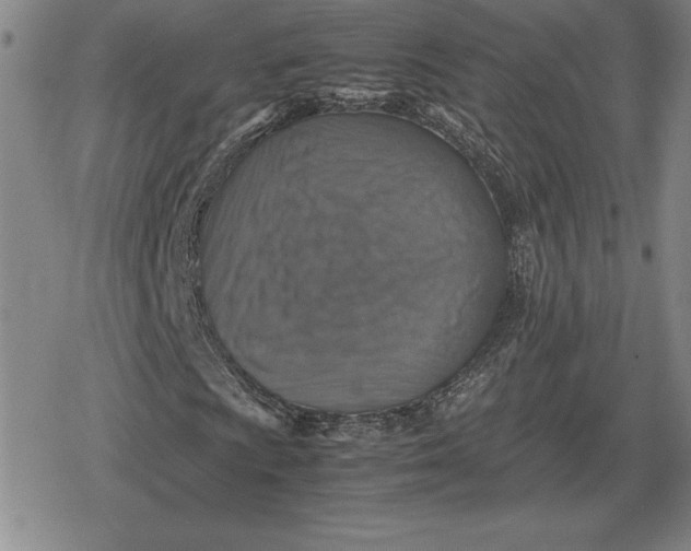 X0000079281009200612081747