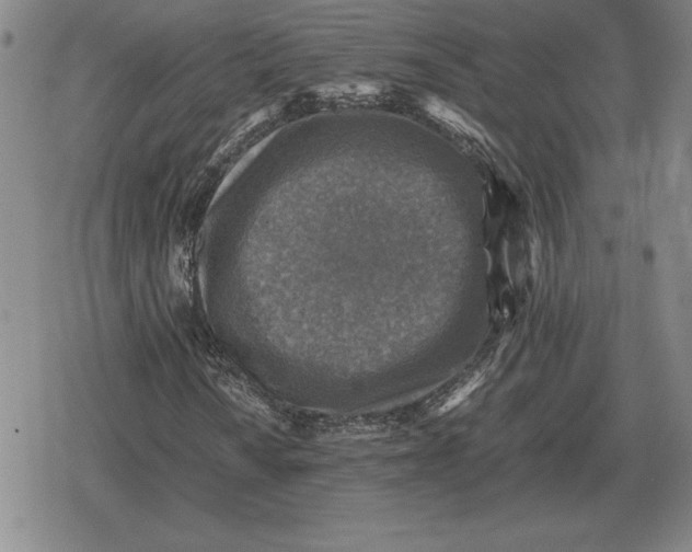 X0000079281010200612081747