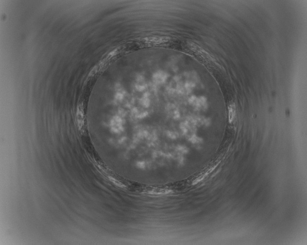 X0000079281011200612081747