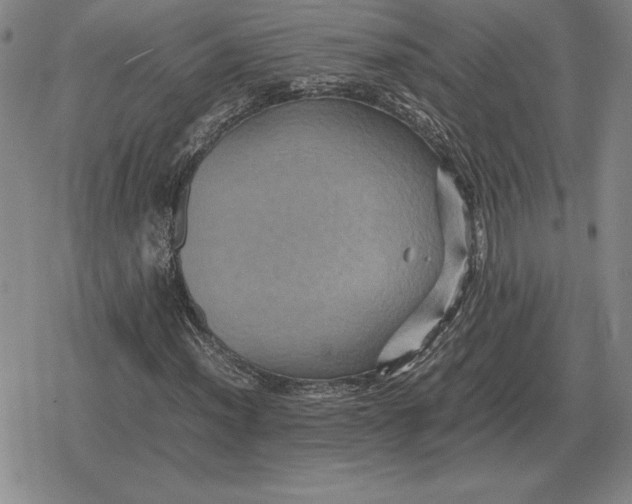 X0000079281012200612081748