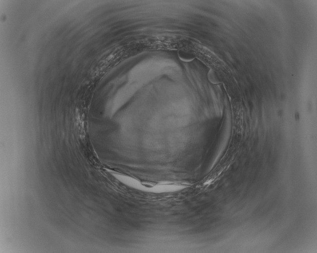 X0000079281013200612081748