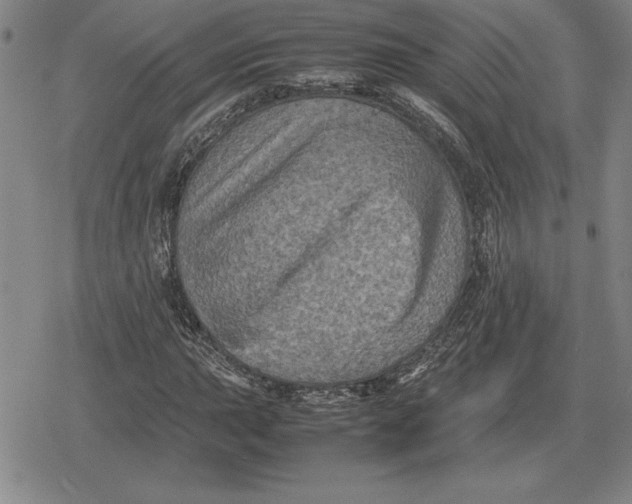 X0000079281015200612081748