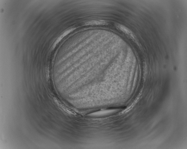 X0000079281017200612081748