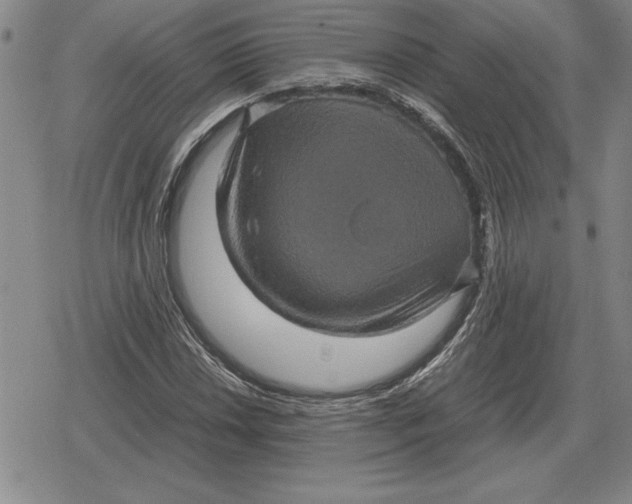 X0000079281018200612081748