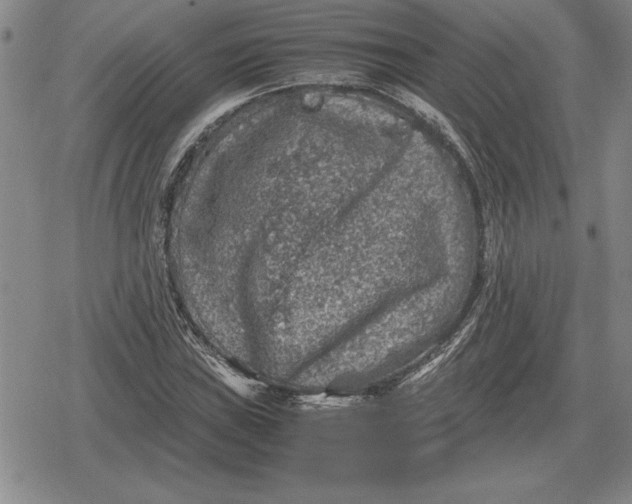 X0000079281019200612081748