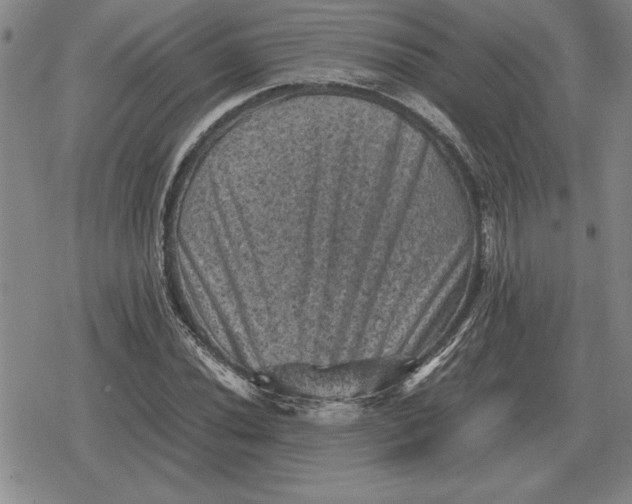 X0000079281020200612081748