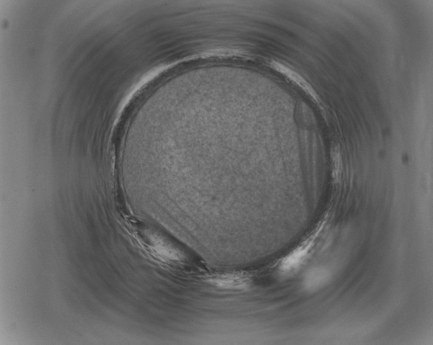 X0000079281021200612081748