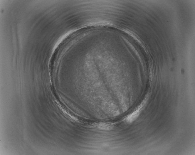 X0000079281022200612081748