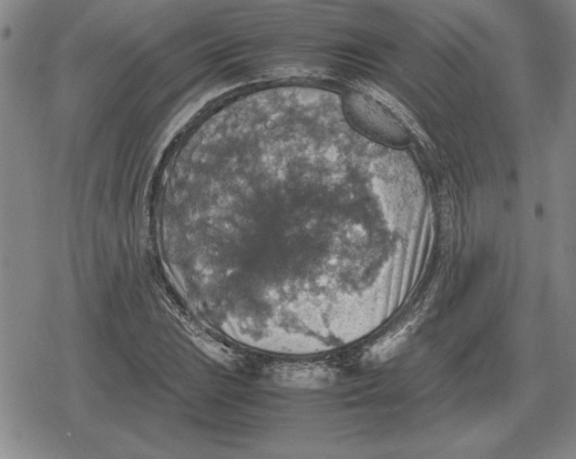 X0000079281023200612081748