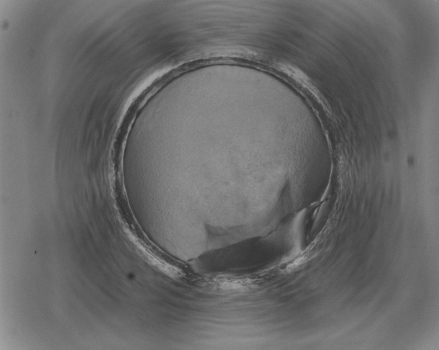 X0000079281024200612081748