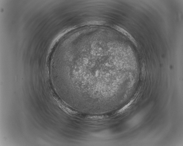 X0000079281027200612081748