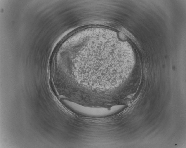 X0000079281028200612081748