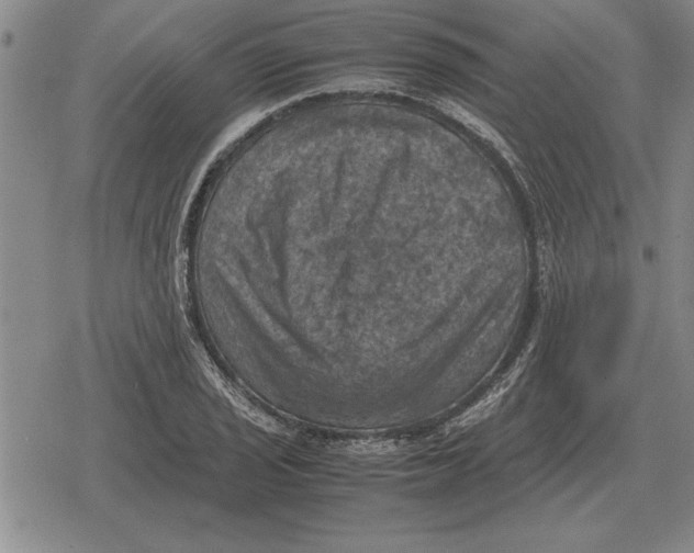 X0000079281029200612081748