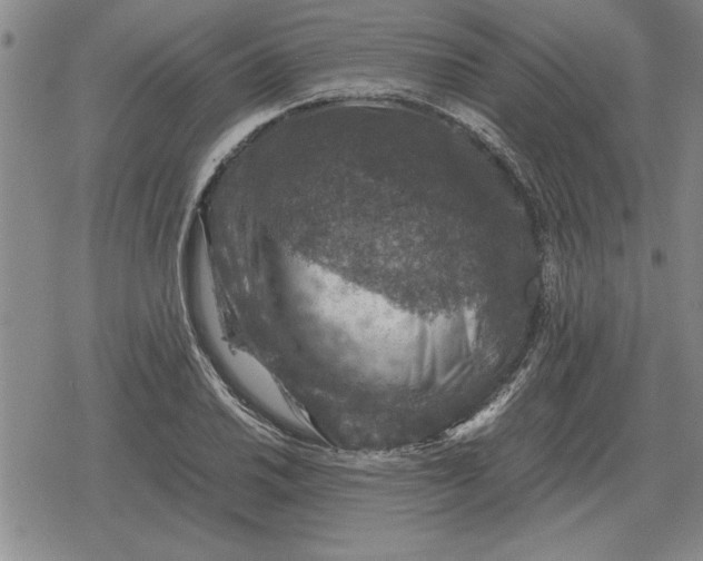 X0000079281030200612081748