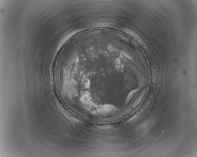 X0000079281031200612081748