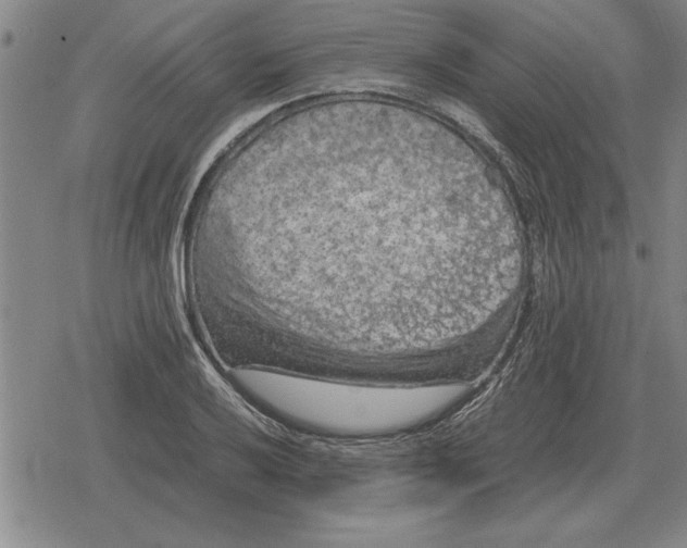 X0000079281032200612081748