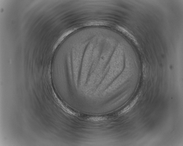 X0000079281033200612081748