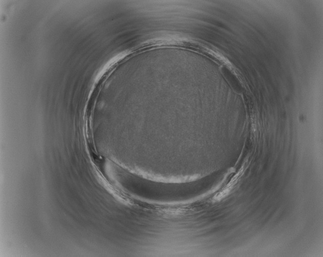 X0000079281034200612081748