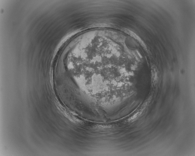 X0000079281035200612081748