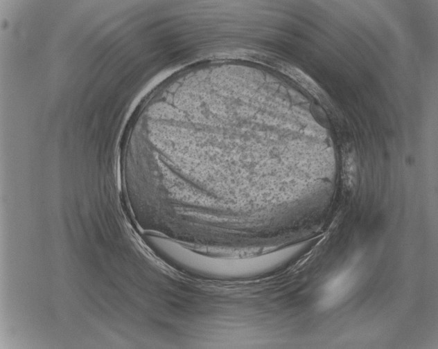 X0000079281036200612081748