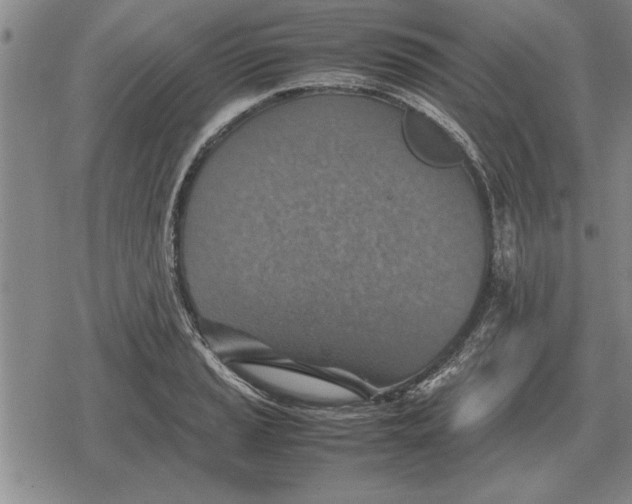 X0000079281037200612081748