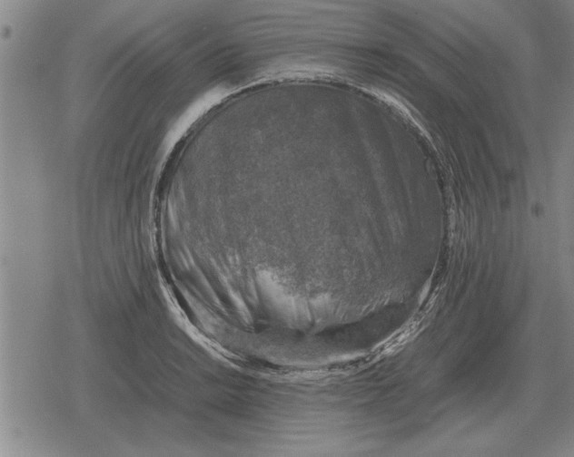 X0000079281038200612081748