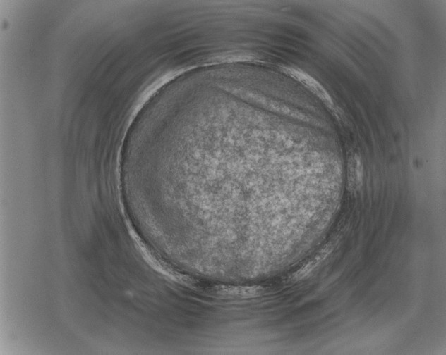 X0000079281039200612081748