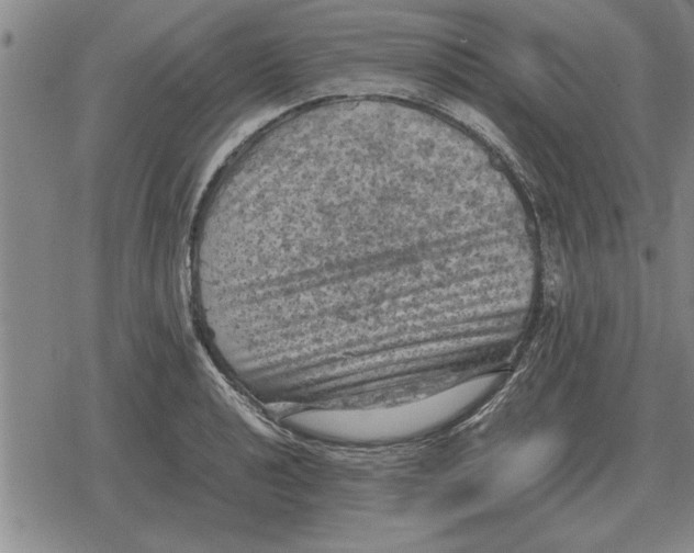 X0000079281040200612081748