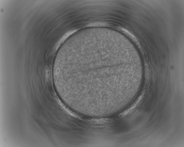 X0000079281041200612081748