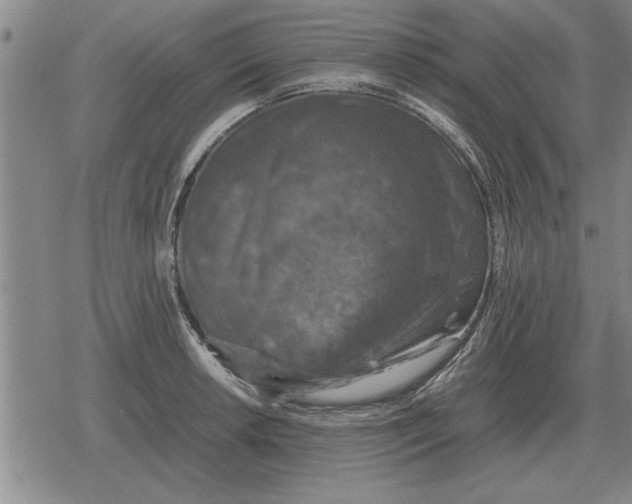 X0000079281042200612081748