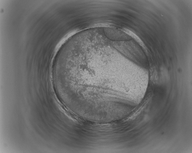 X0000079281043200612081748