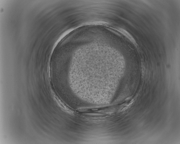 X0000079281044200612081748