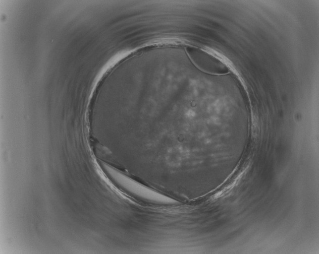 X0000079281045200612081748