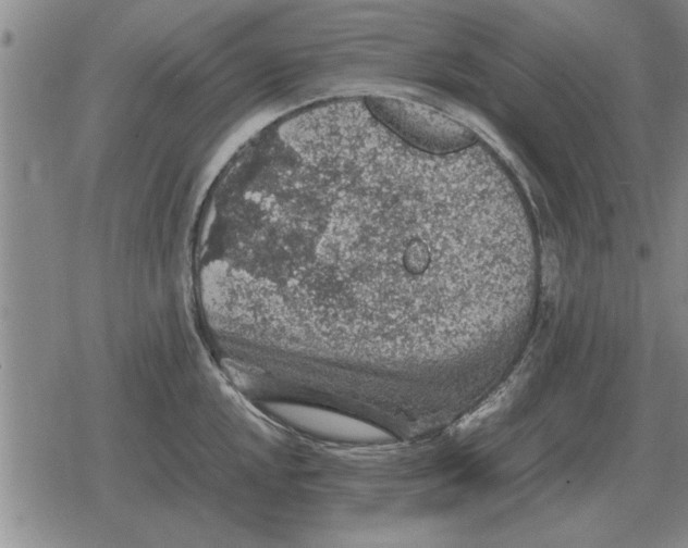 X0000079281048200612081748