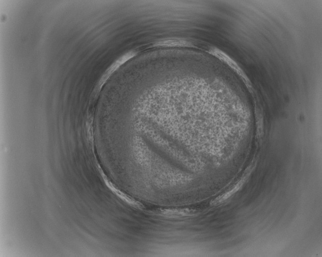 X0000079281049200612081748