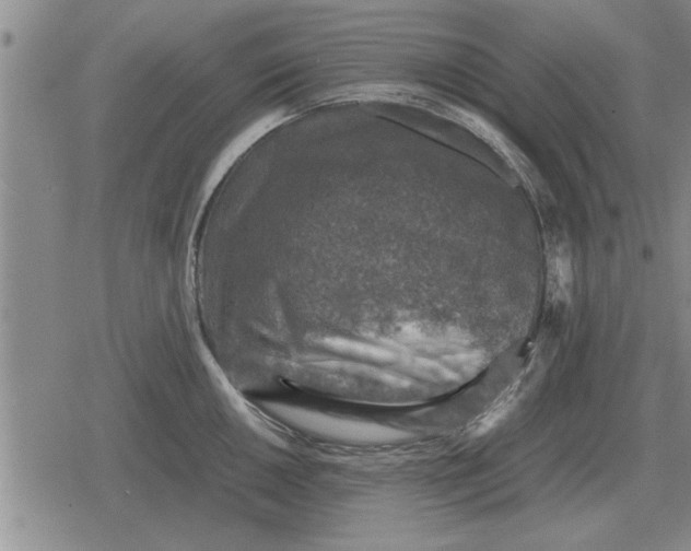 X0000079281050200612081748