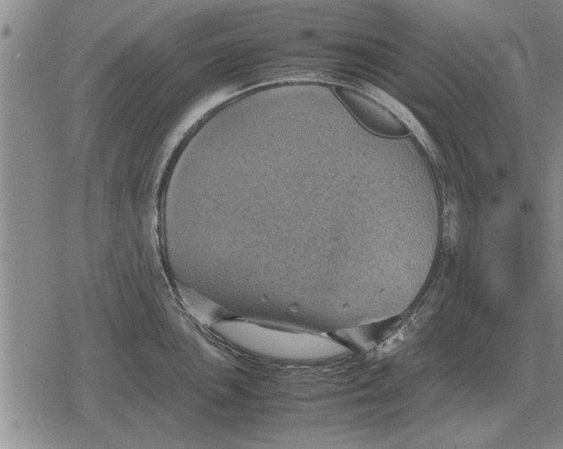 X0000079281051200612081748